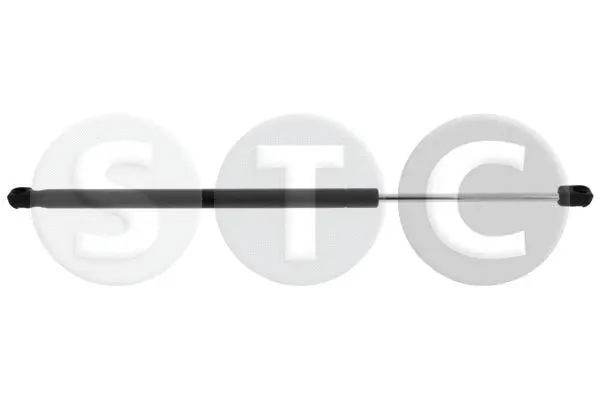 Gas Spring, boot/cargo area (T446686)