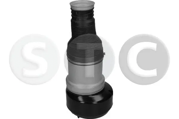 Air Spring, suspension (T442938)
