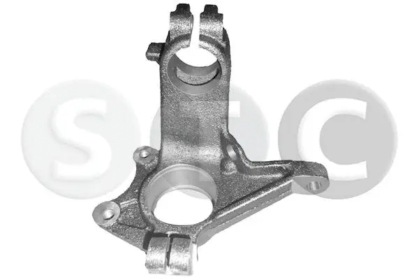 Steering Knuckle, wheel suspension (T490548)