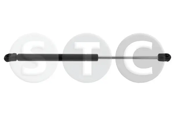 Gas Spring, boot/cargo area (T446352)