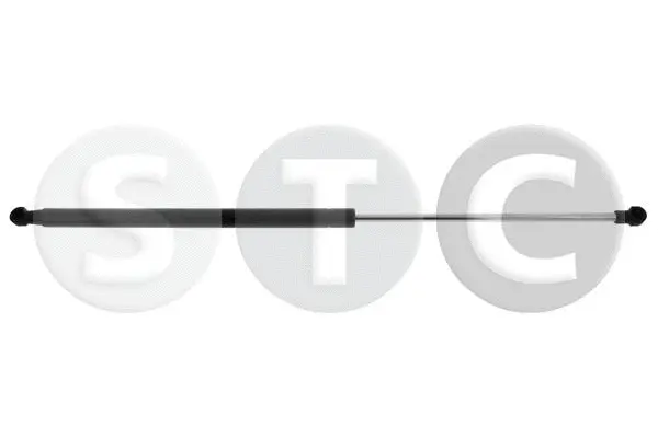 Gas Spring, rear window (T446864)