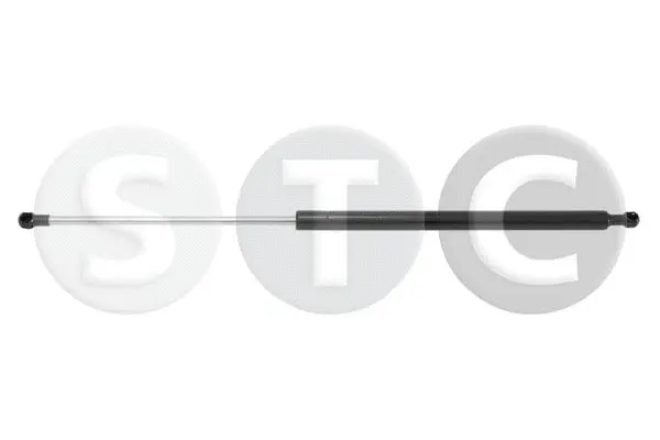Gas Spring, boot/cargo area (T446487)