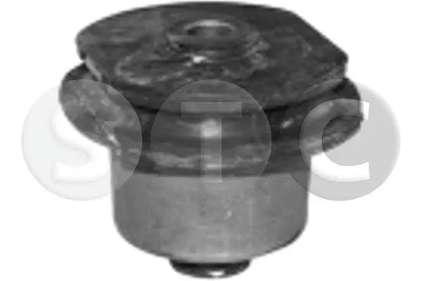 Bushing, axle beam (T456485)