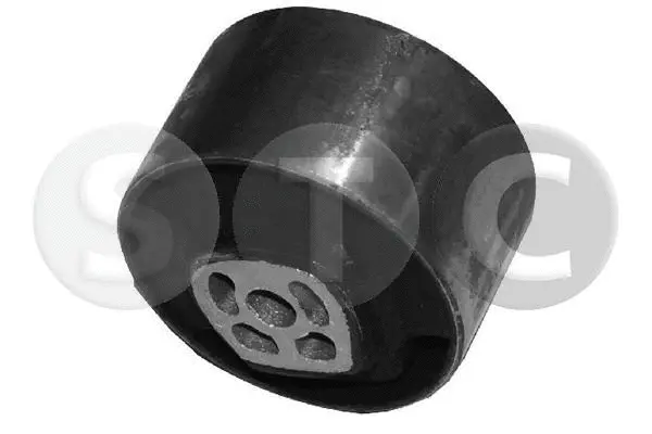 Mounting, engine (T404428)