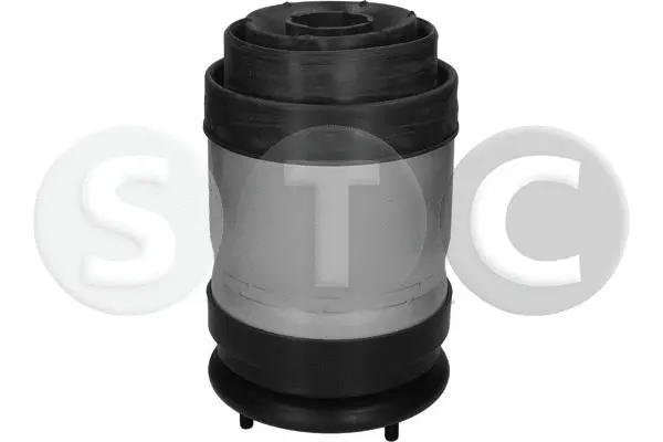 Air Spring, suspension