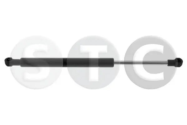 Gas Spring, rear window (T446301)