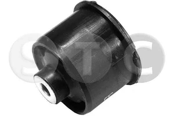 Bushing, axle beam (T402145)