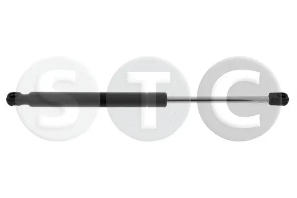 Gas Spring, boot/cargo area (T446319)