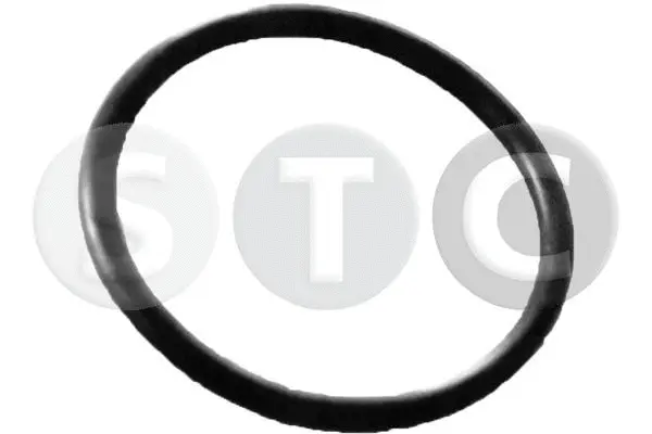 Gasket, coolant pipe (T439350)