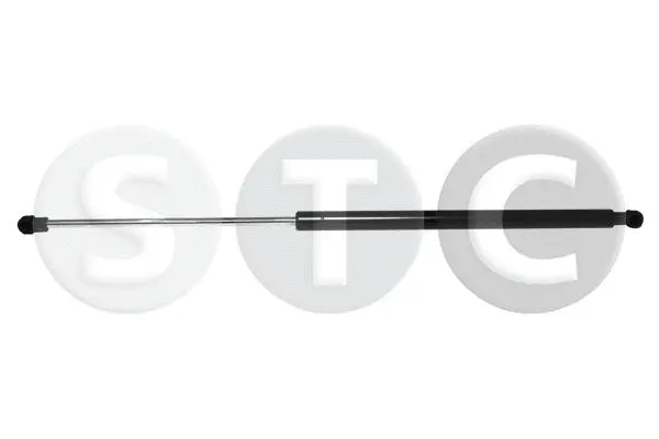 Gas Spring, boot/cargo area (T446517)