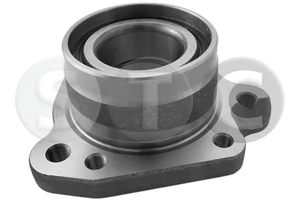 Wheel Hub (T490379)