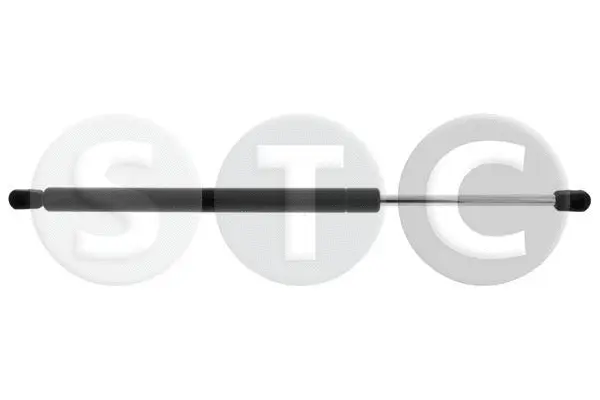 Gas Spring, boot/cargo area (T446554)