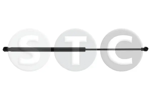 Gas Spring, boot/cargo area (T446400)