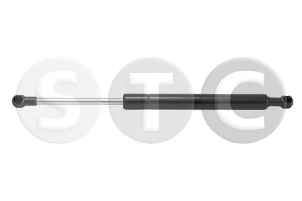 Gas Spring, boot/cargo area (T446315)