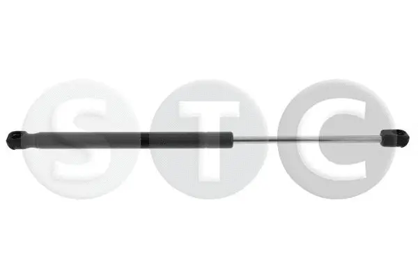 Gas Spring, boot/cargo area (T446404)