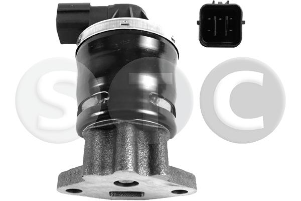 EGR Valve (T493101)