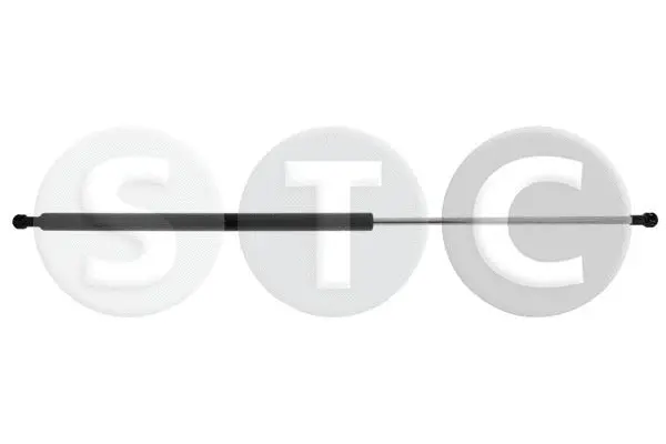 Gas Spring, boot/cargo area (T446559)