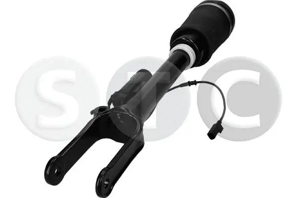 Air Suspension Strut (T442909)