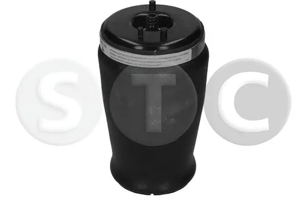 Air Spring, suspension