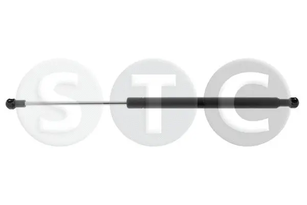 Gas Spring, boot/cargo area (T446600)