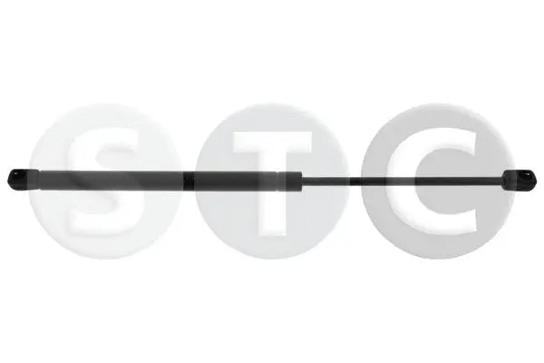 Gas Spring, boot/cargo area (T446226)