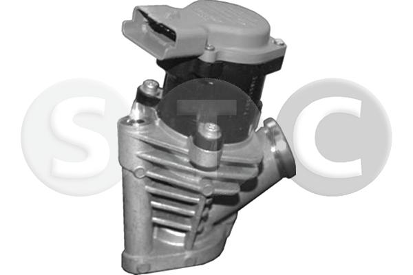 EGR Valve (T493219)