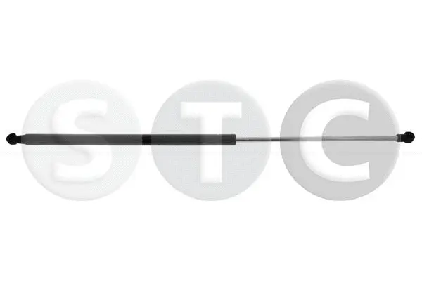 Gas Spring, boot/cargo area (T446236)