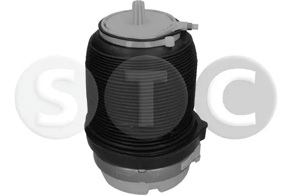 Air Spring, suspension (T442971)