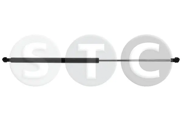 Gas Spring, bonnet (T446343)