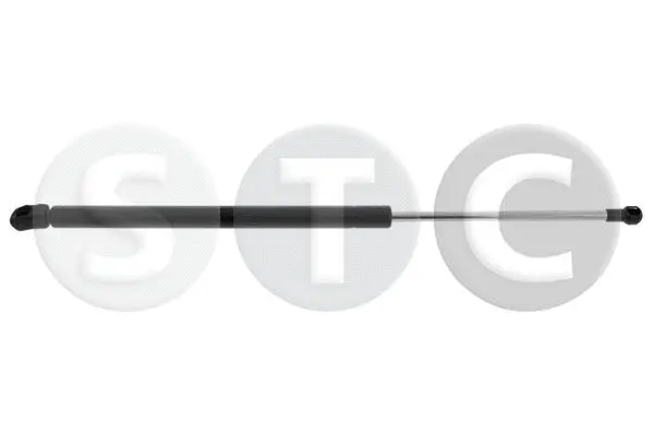 Gas Spring, boot/cargo area (T446292)