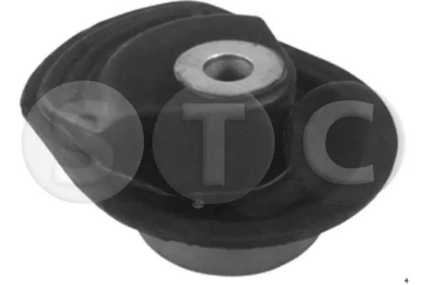 Bushing, axle beam (T457496)