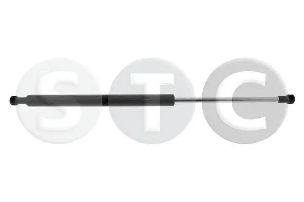 Gas Spring, rear window (T446266)