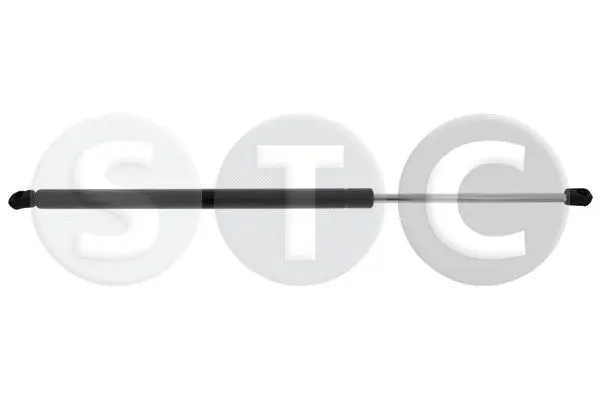 Gas Spring, boot/cargo area (T446452)