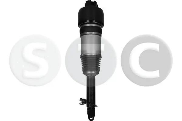 Air Suspension Strut