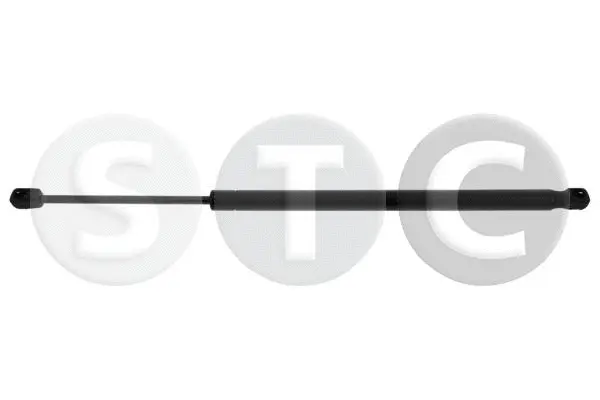 Gas Spring, boot/cargo area (T446129)