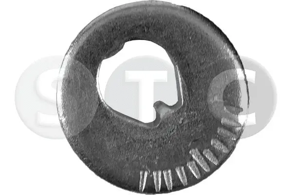 Caster Shim, axle beam (T439317)