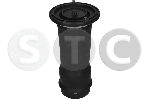 Air Spring, suspension (T442972)