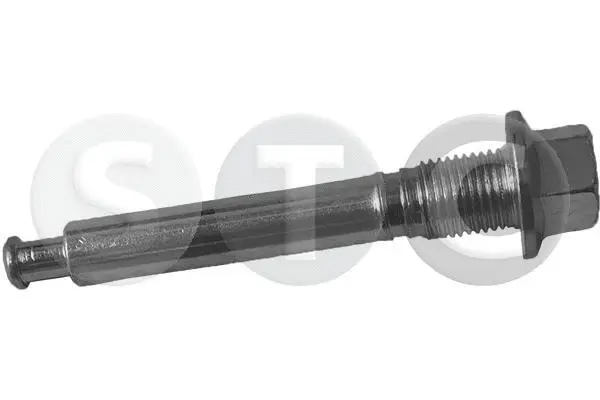 Guide Bolt, brake caliper (T458149)