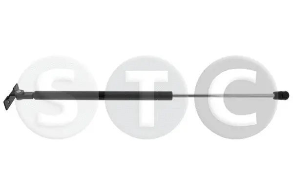 Gas Spring, bonnet (T446405)