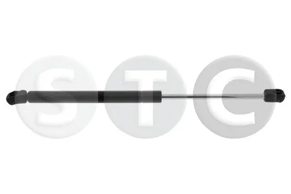 Gas Spring, boot/cargo area (T446604)