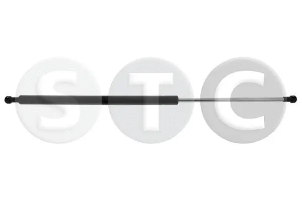 Gas Spring, boot/cargo area (T446548)