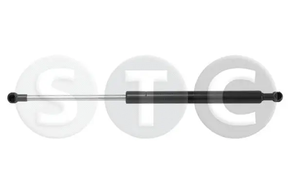 Gas Spring, boot/cargo area (T446237)