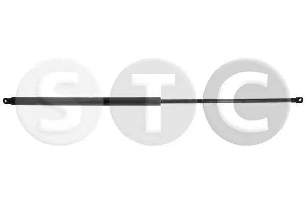 Gas Spring, boot/cargo area (T446307)