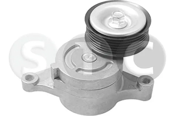 Tensioner Lever, V-ribbed belt (T449638)