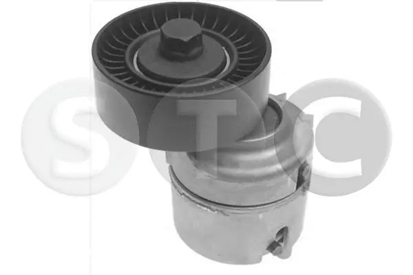 Repair Kit, v-ribbed belt tensioner (T448693)