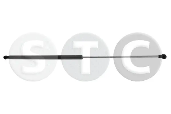 Gas Spring, bonnet (T446491)