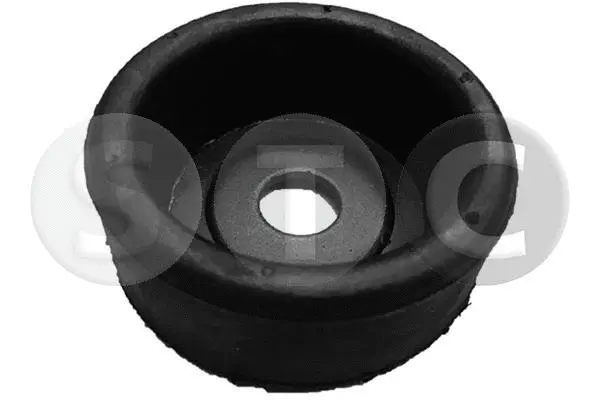 Bushing, axle beam (T402581)
