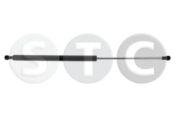 Gas Spring, boot/cargo area (T446494)