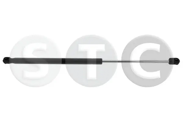Gas Spring, boot/cargo area (T446627)