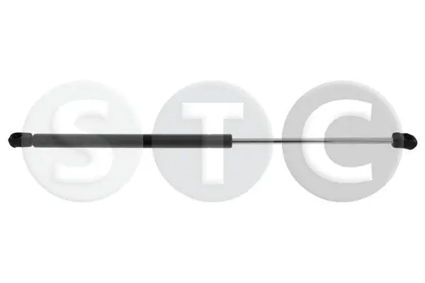 Gas Spring, boot/cargo area (T446670)